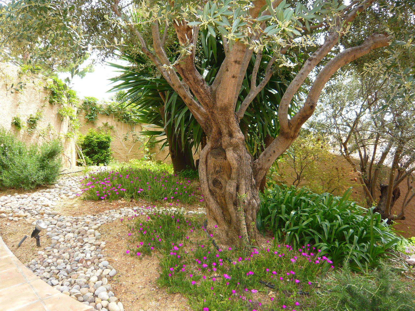 Вилла в аренду в Hameau de Roquebrune