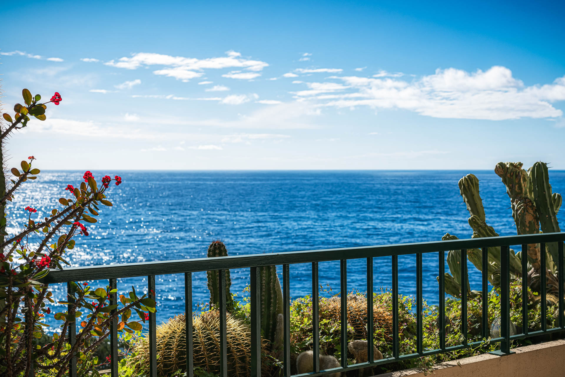 2 pièces avec vue Mer au Rosa Maris à Fontvieille